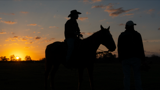 Dust, Cattle & Conservation: The Last of the Florida Cowboy